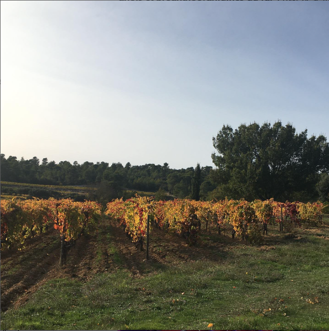 Sylvia et Pierre Michelland / Domaine La réaltière