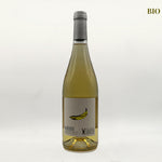 Ouistiti Blanc