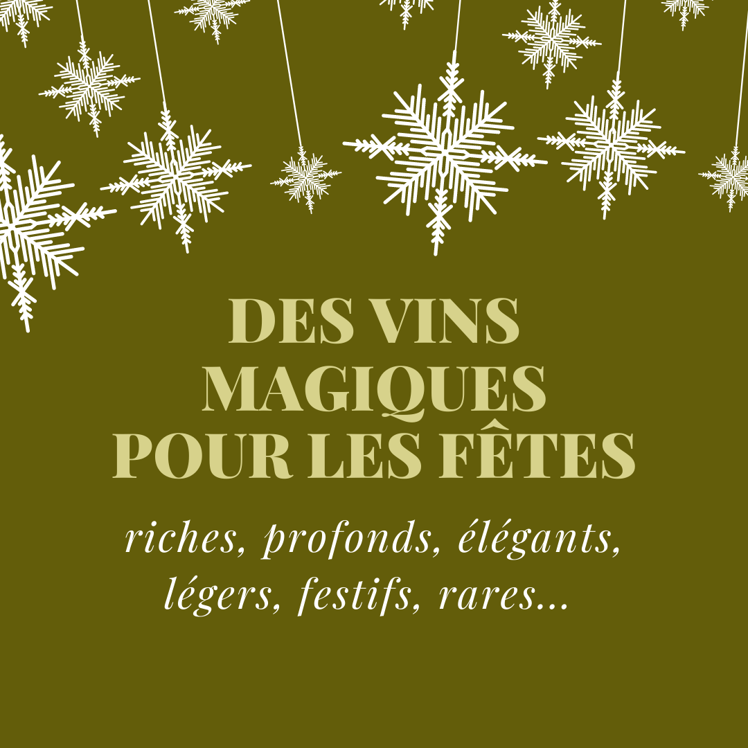 Des vins magiques pour Noël