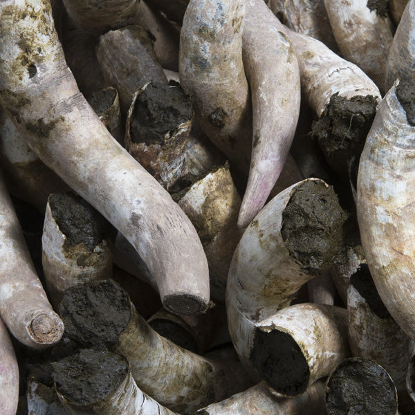 C’est quoi la Biodynamie ?