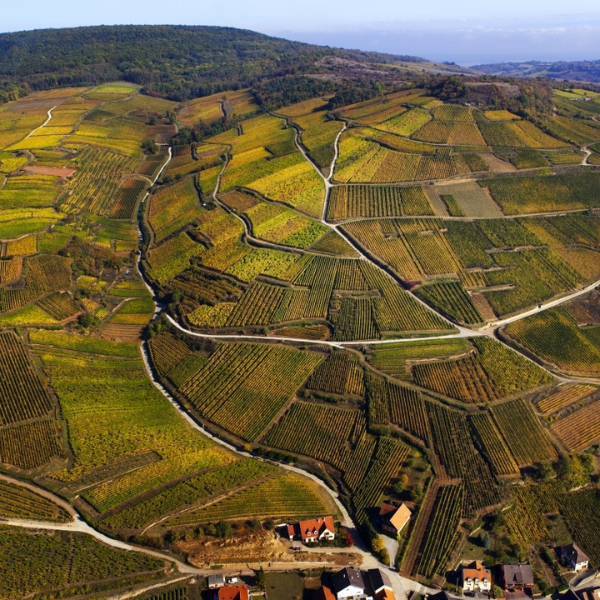 L'Alsace