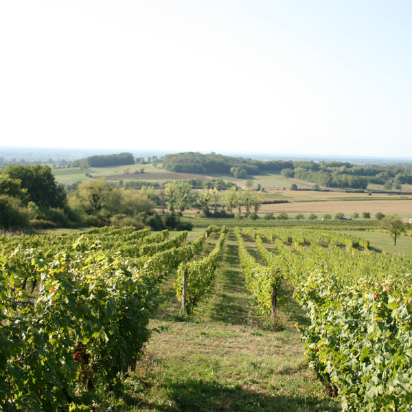 Éric et Bérengère thill - Domaine Éric THILL