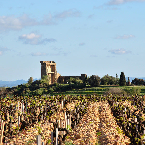 Le Rhône