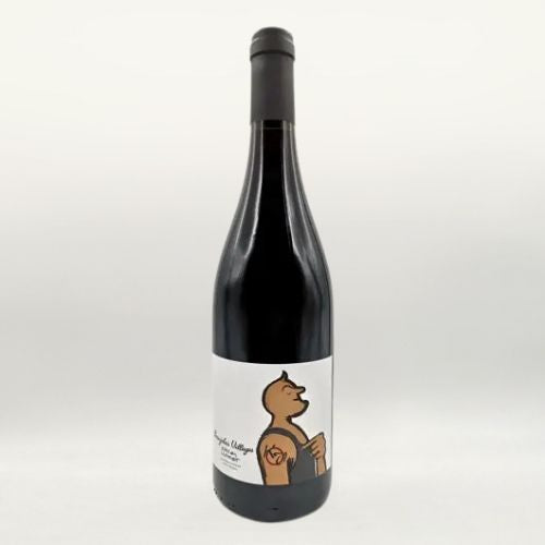 Beaujolais Villages vin nature de  Karim Vionnet
