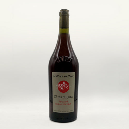 Poulsard En Bois d'Arnaux valentin morel les pieds sur terre