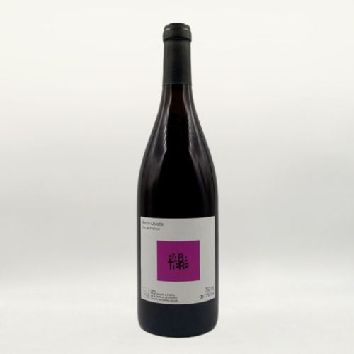 rabatière pineau d'aunis vin nature bertin delatte