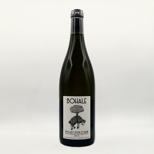 Bohale blanc