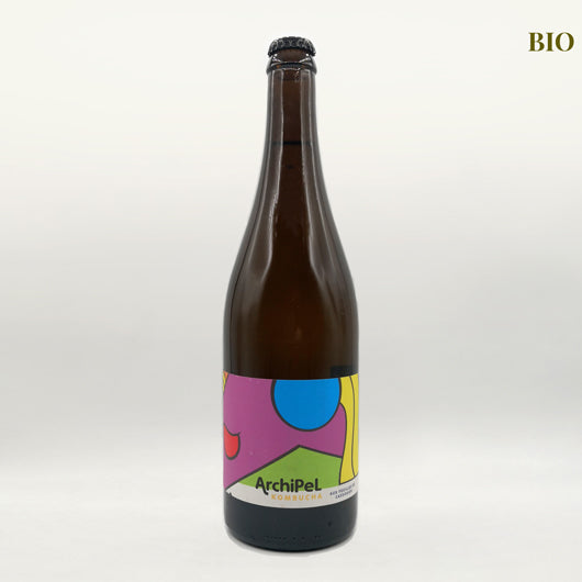 kombucha feuille de cassissier - Achille et Pierre - Archipel