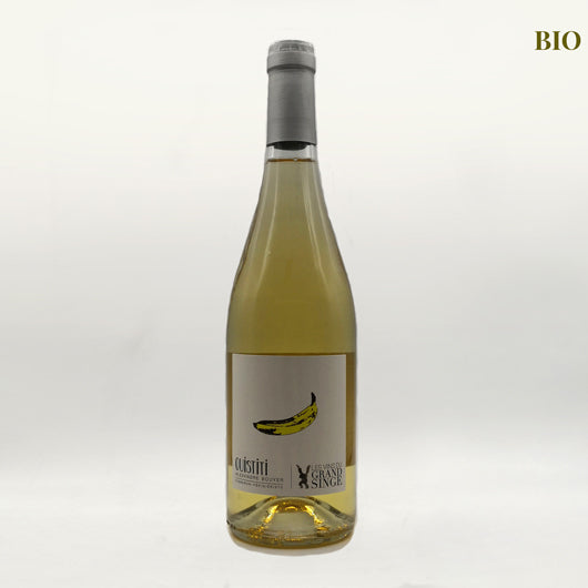 Ouistiti Blanc