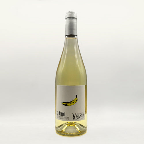 Ouistiti Blanc