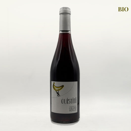Ouistiti Rouge