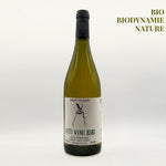 viti vini bibi Benjamin Taillandier  Domaine Benjamain Taillandier