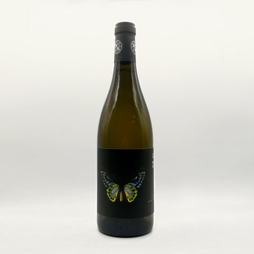 petite mélancolie les frères ledogar