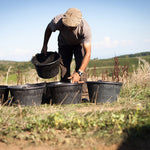 Chénas Les petites pierres - Gandelins Julien Guillot / Clos des vignes du Maynes
