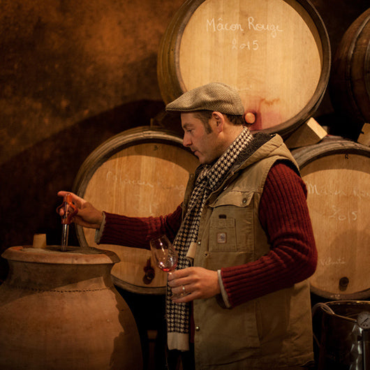 Chénas Les petites pierres - Gandelins Julien Guillot / Clos des vignes du Maynes