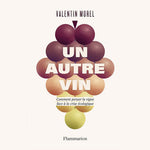 Un autre vin - valentin morel