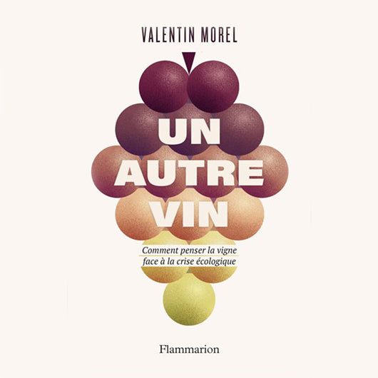 Un autre vin - valentin morel