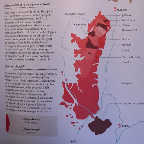 Le vin c'est pas sorcier Ophélie Neiman / Marabout