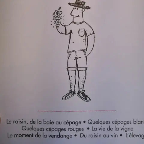 Le vin c'est pas sorcier Ophélie Neiman / Marabout