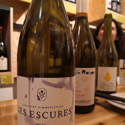 Atelier Découverte ! B.B.N