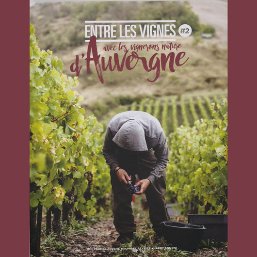 Entre les vignes #2 Auvergne Collectif / Éditions Reverse