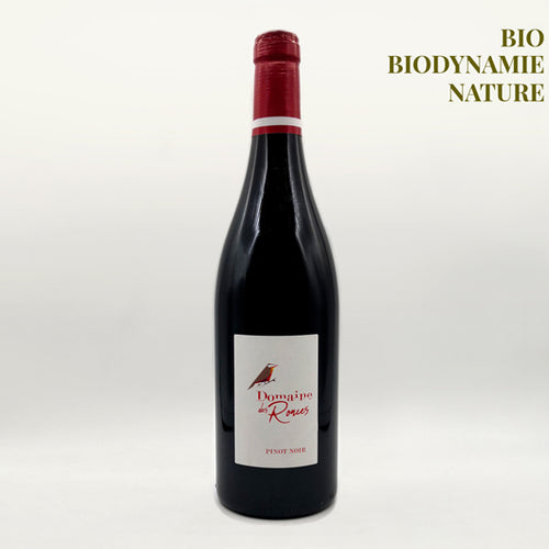 Côtes du Jura - Pinot Noir Kevin Mazier / Domaine des Ronces