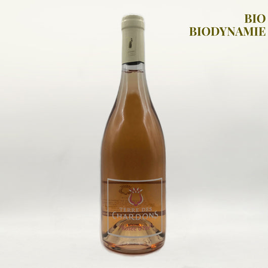 Rosée d’Été Jérôme Chardon / Terre des Chardons