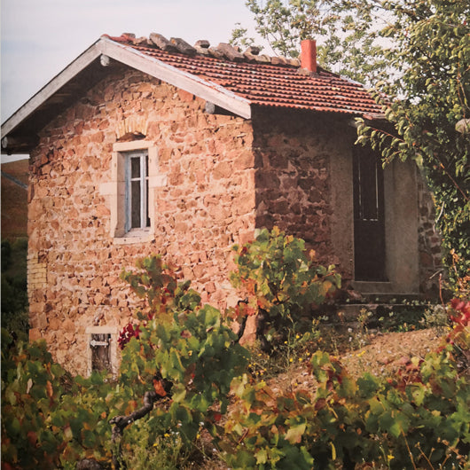 Flâner dans les vignes Audrey Baylac et Willy Kiezer / Plume de Carotte