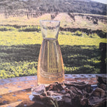Flâner dans les vignes Audrey Baylac et Willy Kiezer / Plume de Carotte