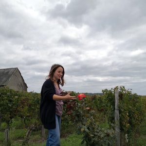 le cabernet franc Catherine & Pierre Breton