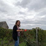 Avis de Vin fort catherine et pierre breton