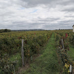 Avis de Vin fort catherine et pierre breton