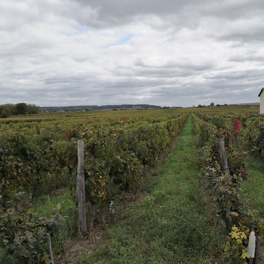 Avis de Vin fort catherine et pierre breton