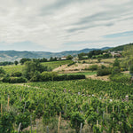 Brouilly - vieilles vignes Jean-Claude Lapalu
