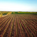 Sous le manteau Rouge - Domaine des Amiel